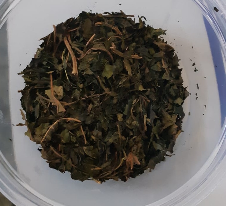Chá de folha de mamão: Seus benefícios e como preparar