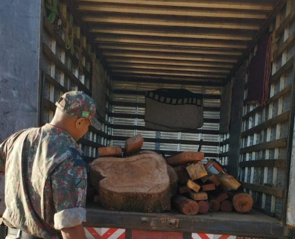 Polícia Militar Ambiental de Bonito autua motorista por transporte ilegal de madeira nativa