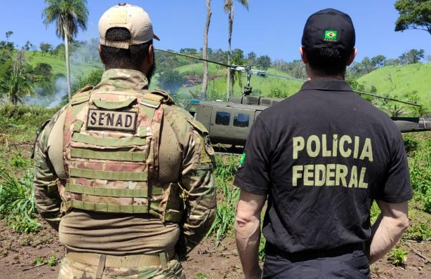 Polícia Federal realiza 31ª fase da Operação Aliança para erradicar cultivos de maconha no Paraguai