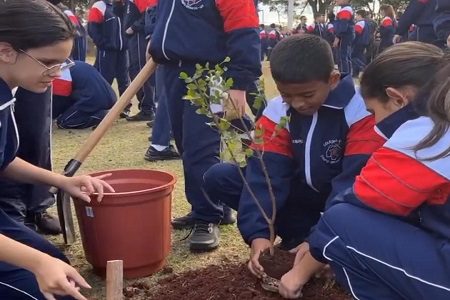 Alunos do Colégio Militar de Campo Grande plantam 40 mudas frutíferas de árvores nas dependências do colégio