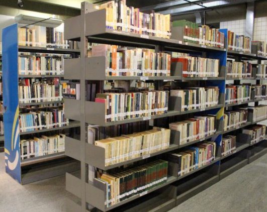 Lei prevê campanha para doação de livros e revistas a bibliotecas públicas de MS