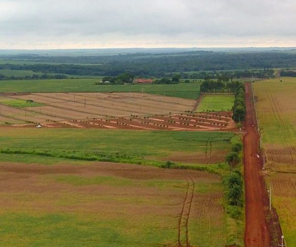 Mato Grosso do Sul lidera no Brasil em desenvolvimento agropecuário