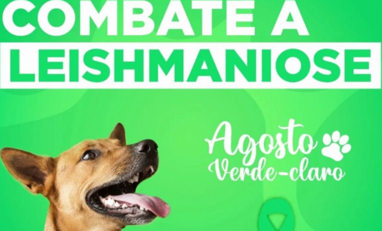Prefeitura alerta para o Agosto Verde: mês de combate à leishmaniose