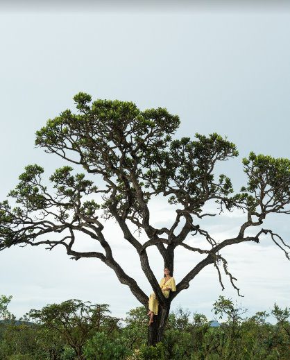 Meio ambiente: IHP e FARM vão plantar 5 mil árvores no Pantanal