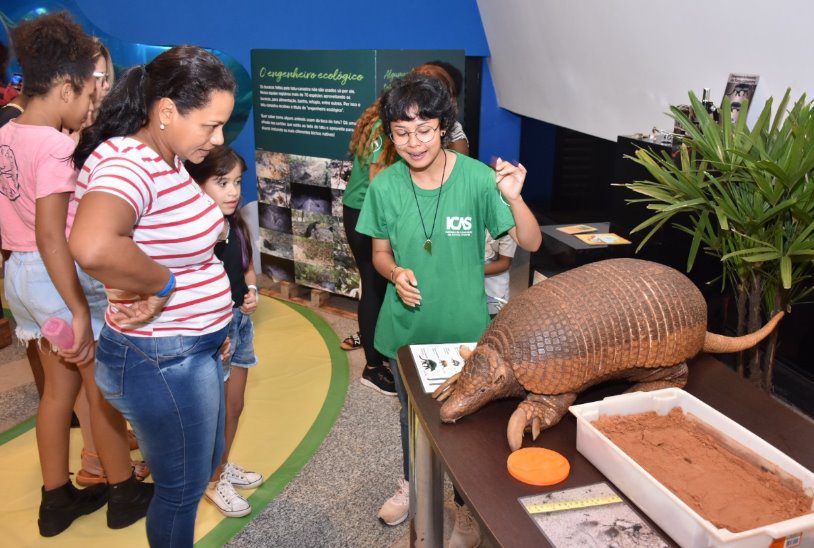 Tatu Canastra e Tamanduá Bandeira são destaques em exposição de “gigantes” no Bioparque Pantanal