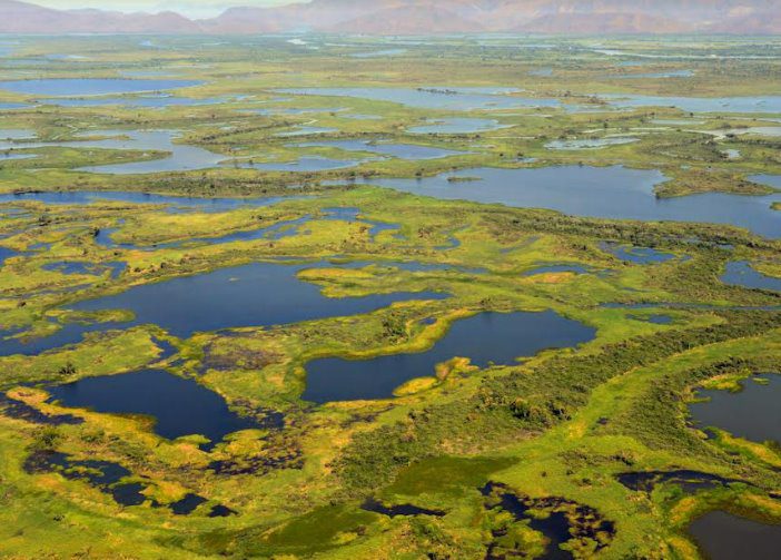 Movimenta Pantanal reúne parceiros para revisar critérios de sustentabilidade em econegócios