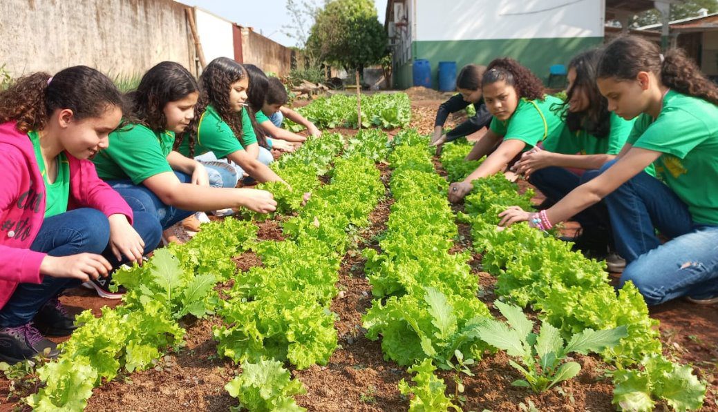 Agraer participa da implantação de sistema de irrigação e sombreamento em escola de Glória de Dourados