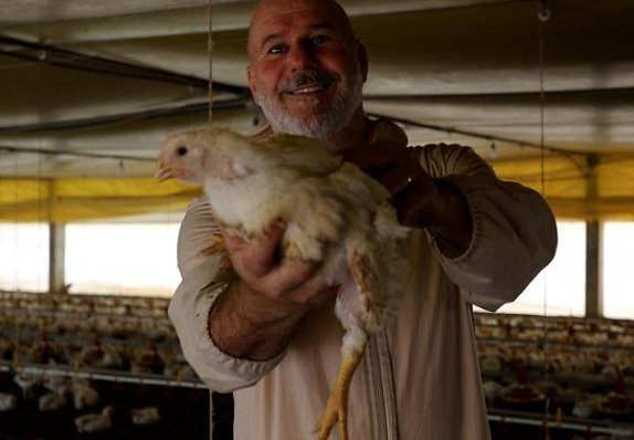 Avicultor aplica conhecimento adquirido no curso CADEC Brasil em produção de aves de corte em MS