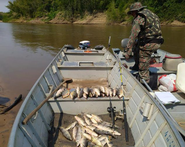 Polícia Militar Ambiental deflagra operação Dia de Finados com intensificação preventiva à pesca predatória e proteção aos cardumes