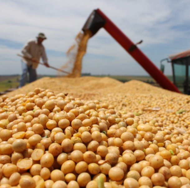Mato Grosso já é o 3º maior produtor de soja do mundo