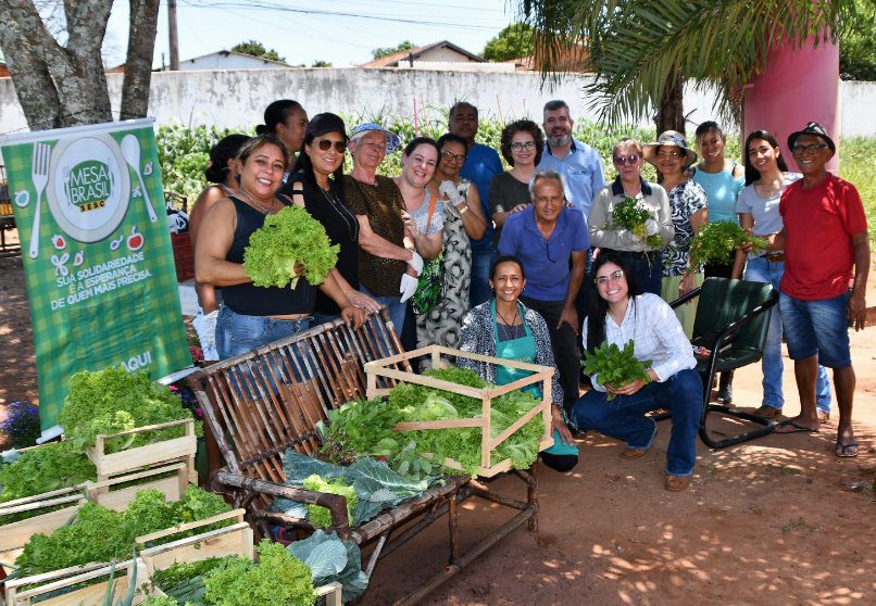 Agricultura familiar: Oficina de horta caseira orgânica aconteceu em Campo Grande