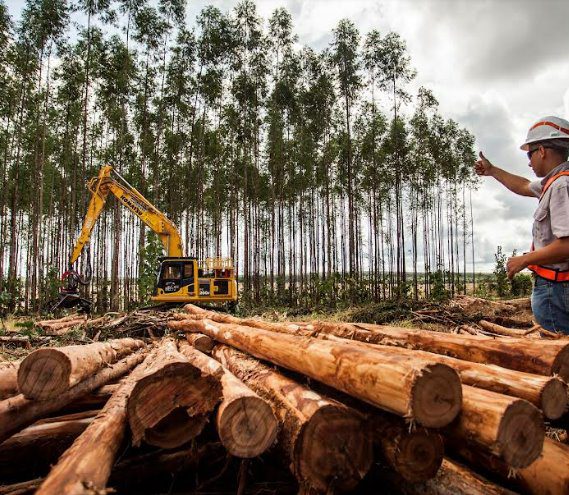 Suzano oferece 34 vagas de mecânica e mecânico de máquinas florestais para atuar na colheita de eucalipto em Ribas do Rio Pardo