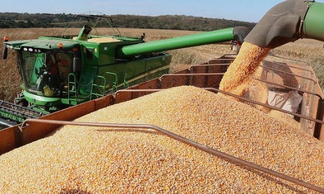 Produção agrícola do Estado deve superar 72 milhões de toneladas com renda acima dos R$ 52 bilhões