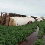 Ivinhema: Empresa é multada em R$ 25 mil por derramamento de etanol