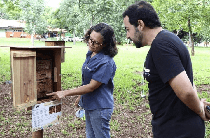 Primeiro curso de criação de abelhas sem ferrão vai ocorrer no Parque das Nações