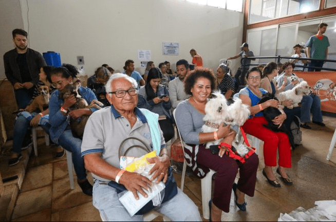 Subea realiza segundo plantão de castração com 200 vagas para cães e gatos
