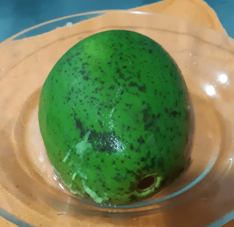 Conheça 9 benefícios do abacate para sua saúde