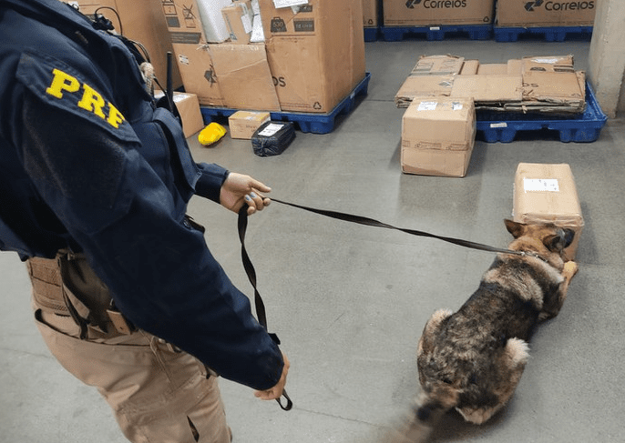 Com auxílio de cães de faro, PRF intercepta drogas que iam para Estados do Norte e Nordeste