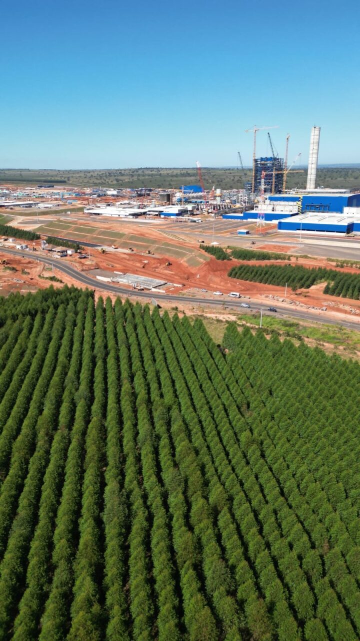 Foto: Floresta de eucalipto e ao fundo obras da construção da fábrica da Suzano em Ribas do Rio Pardo, localizada na região central de Mato Grosso do Sul – Francisco Oliveira / Tereré News.
