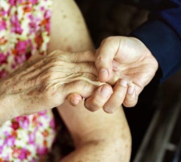 Governo de MS promove debate sobre o fortalecimento da rede de apoio da pessoa idosa