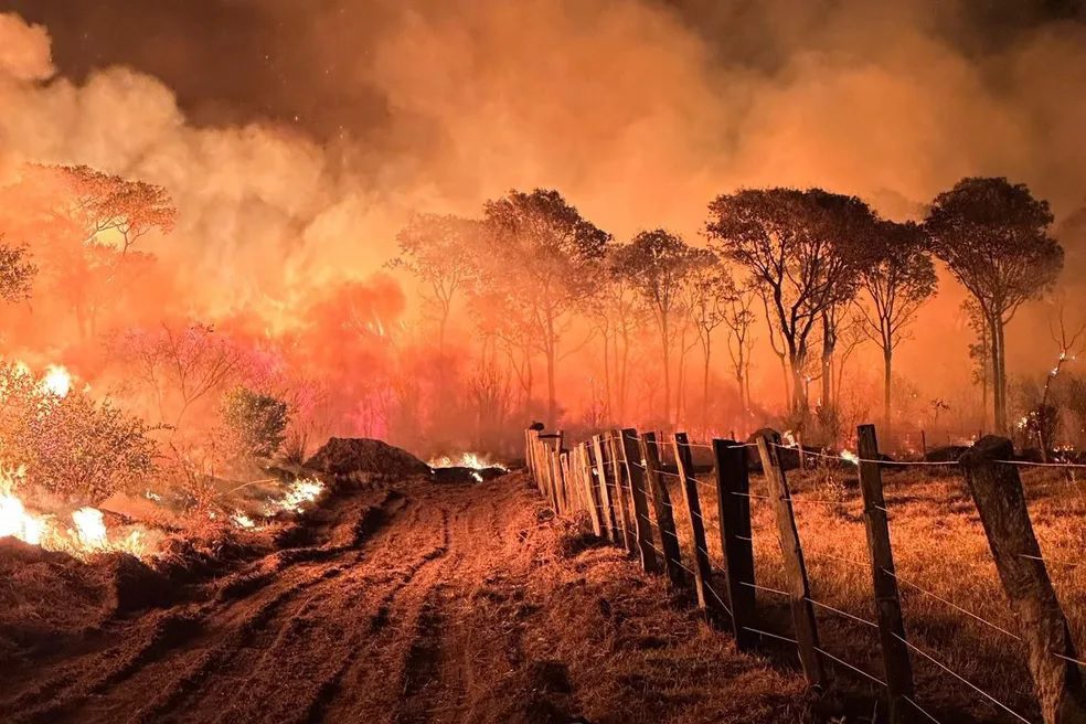 Fogo e destruição no Pantanal já devastou área quase oito vezes maior que o Rio de Janeiro em 2023