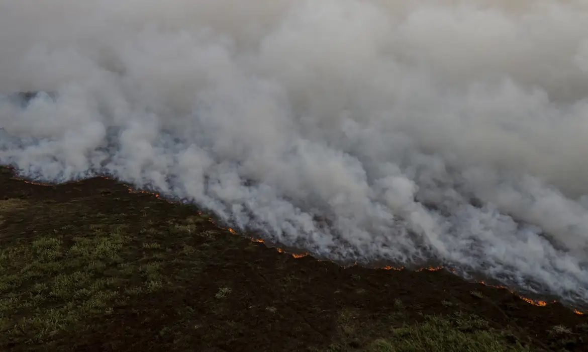 Incêndio: Àrea destruída no Pantanal ultrapassa um milhão de hectares