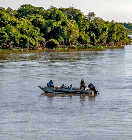 Corumbá: Temporada de pesca: modalidade pesque e solte está liberada na calha do rio Paraguai