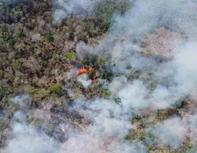 Amazônia em chamas: Mortes de indígenas yanomami e incêndios sem controle arrasam Roraima que pede socorro