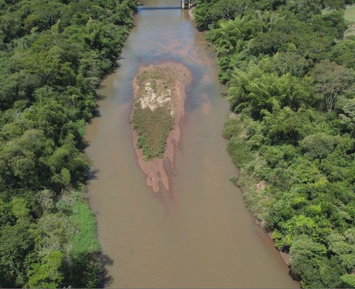 Meio Ambiente: Pantanal pode enfrentar uma das piores secas dos últimos 60 anos