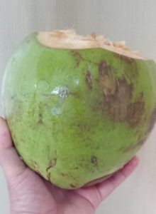 Você sabia? 6 benefícios da água de coco para a saúde